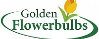 Golden Flowerbulbs