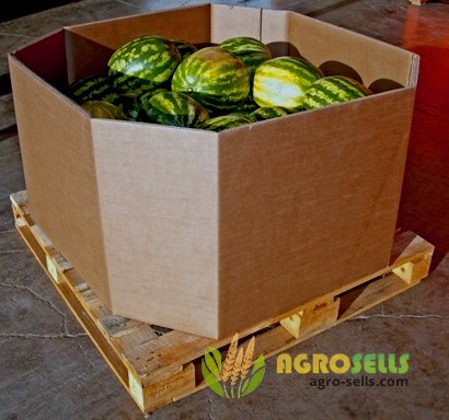 Короб под арбузы