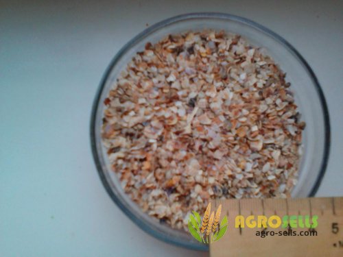 ракушка кормовая для кур