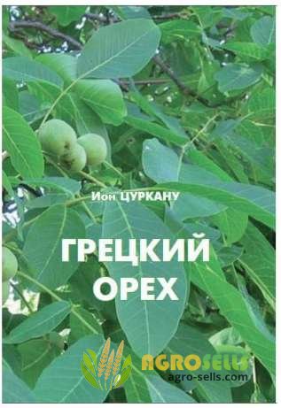 Книга `Грецкий орех`