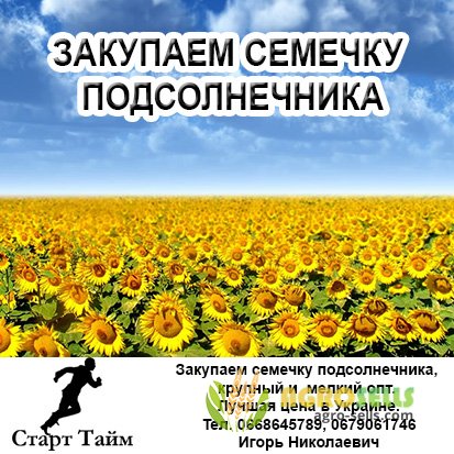 Закупаем семечку подсолнечника