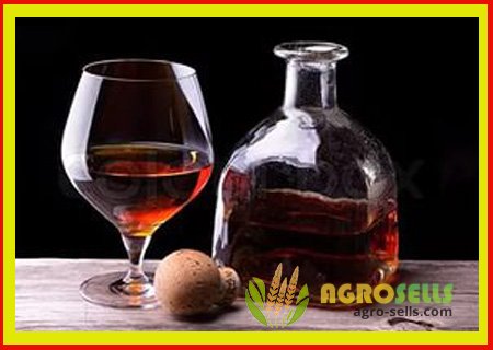 Коньяк. Купить коньяк. Спирт. Купить спирт.