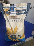 Семена подсолнечника НС Таурус (2017)