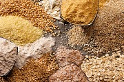 покупаю кукурузу