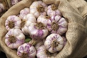 Акция! продам чеснок