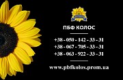 Семена подсолнечника Солтан / Насіння соняшника