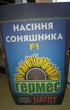 Семена подсолнечника Одессей