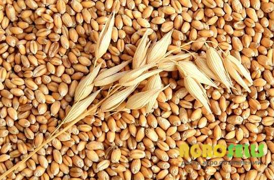 Продам ячмінь