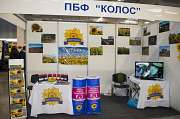 Семена подсолнечника Златсон (новинка)