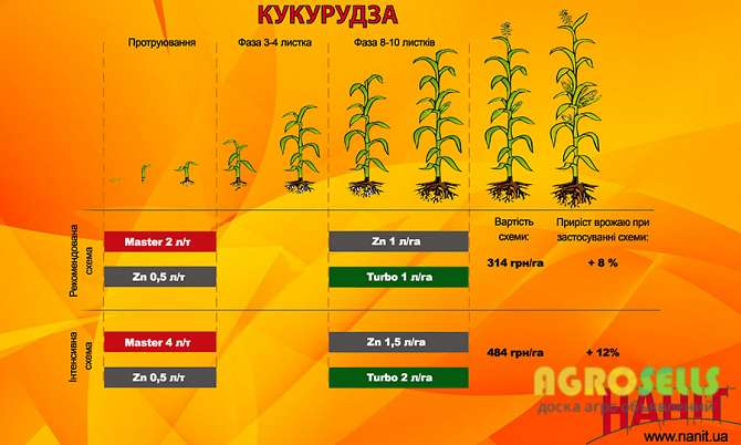 Цинк (79,3 г/литр) микроудобрение Нанит Гермес