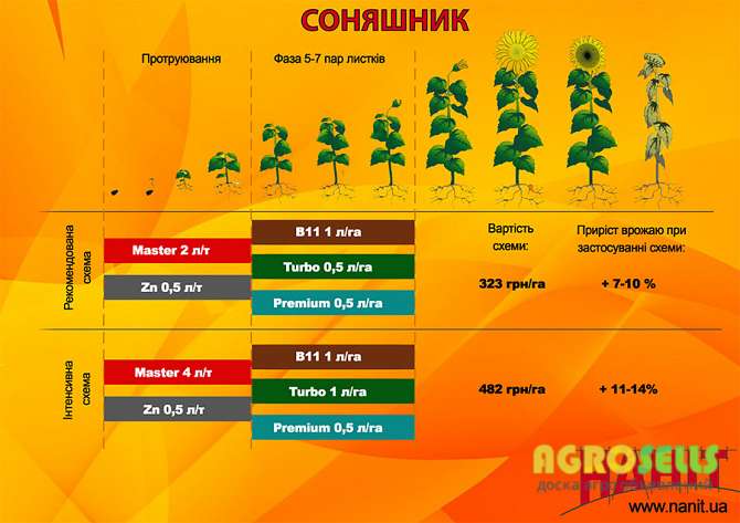 Бор (186,2 г/литр) микроудобрение Нанит В11 Гермес