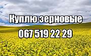 Кукуруза