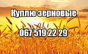 Куплю сою, рапс, кукурузу, пшеницу, ячмень, подсолнечник