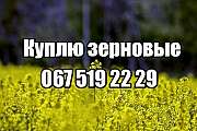 Куплю ячмень