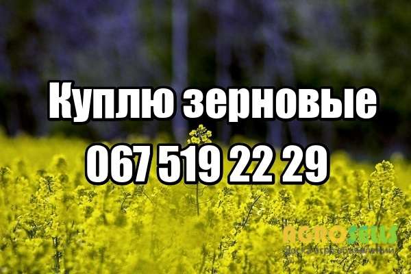 Куплю ячмень