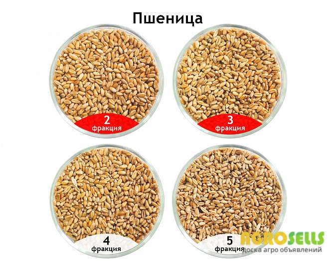 Зерновой сепаратор САД-4, от завода АЭРОМЕХ. ORIGINAL GRAIN SEPARATOR!