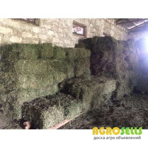 Сено люцерна в тюках с доставкой