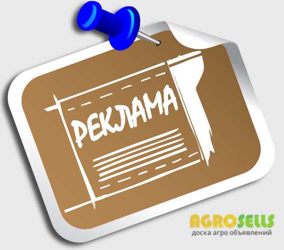 Размещение ваших объявлений на ТОП-досках