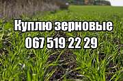 Пшеница