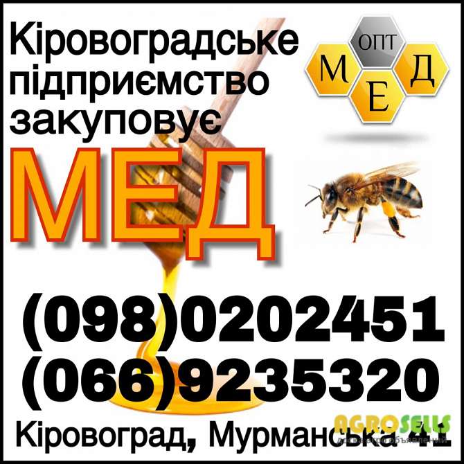 Закупівля меду в центральних областях України