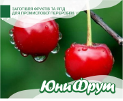 Покупаем вишню на пром переработку
