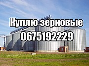 куплю кукурузу, ячмень, рапс, сою, подсолнечник, пшеницу
