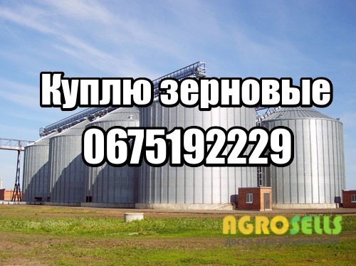 куплю кукурузу, ячмень, рапс, сою, подсолнечник, пшеницу