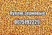 Куплю сою, ячмень, пшеницу