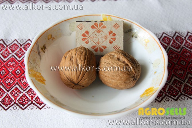 Грецкий орех.