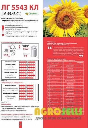 семена подсолнечника Syngenta LG(остатки) от 120$