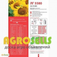 семена подсолнечника Syngenta LG(остатки) от 120$