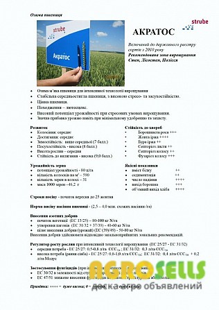Стресостійка озима пшениця АКРАТОС для інтенсивної технології