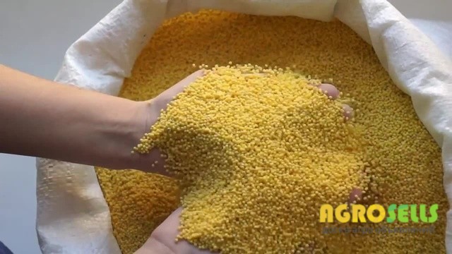 Пшено оптом от производителя