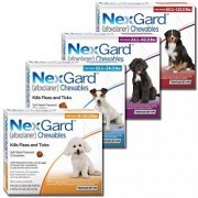 Merial NexGard (Нексгард) XL – 25-50 кг