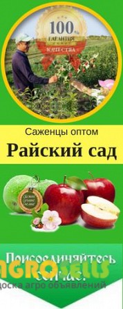 Большой выбор саженцев из питомника