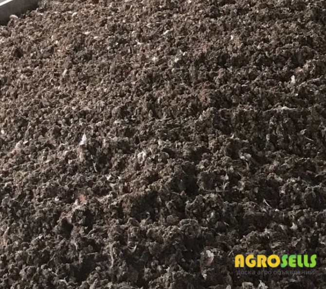 Куриный помет, курячий послід, птичий помет, органическое удобрение