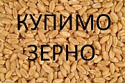 Закупляємо тритікале