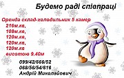 Здам для зберігання овочів чудовий склад-холодильник. Хмельницький