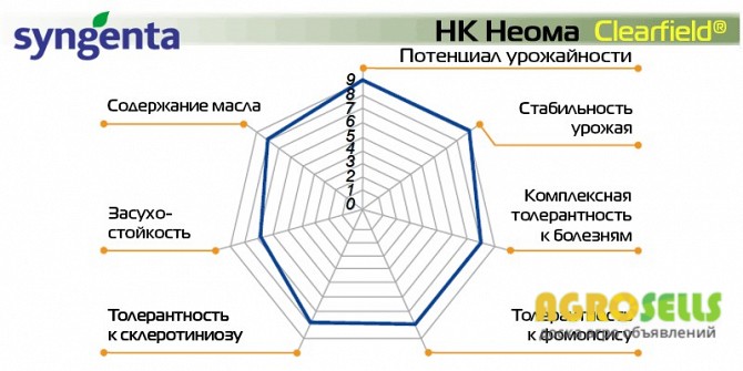 Продам насіння соняшнику