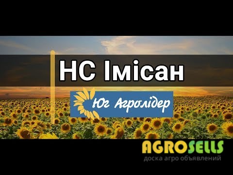 Продам насіння соняшника НС ІМІСАН