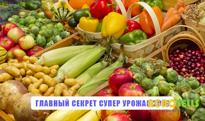 Лучшее удобрение для земли почти даром. Грибной компост в Одессе.