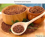 Продам крупу гречневую
