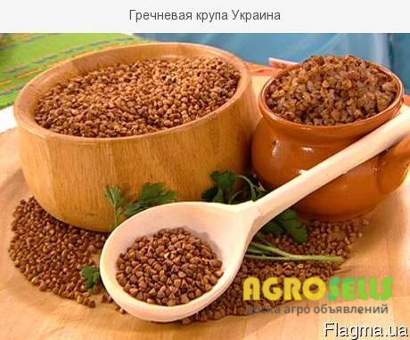 Продам крупу гречневую