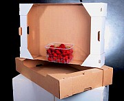 лоток под клубнику на 5 кг белый