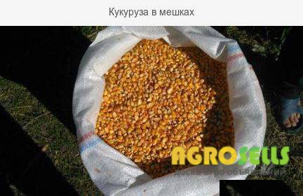 Кукуруза для корма, мешок 25кг