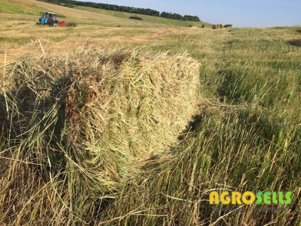 Сено луговое