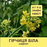 Насіння Гірчиці Білої