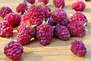 Малина куплю. Малину для заморозки.