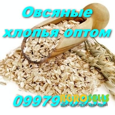 Овсяные хлопья Винница