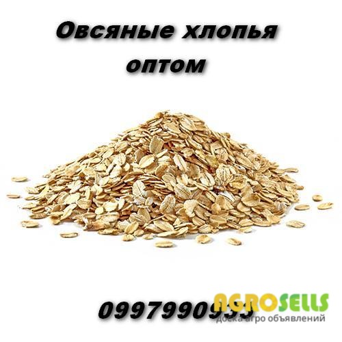 Овсяные хлопья Винница